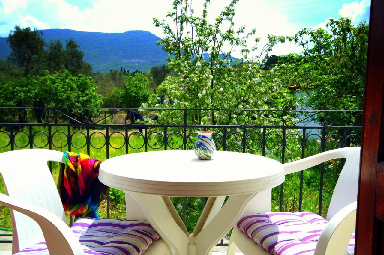 Mr. Greek Villa Pétra Extérieur photo